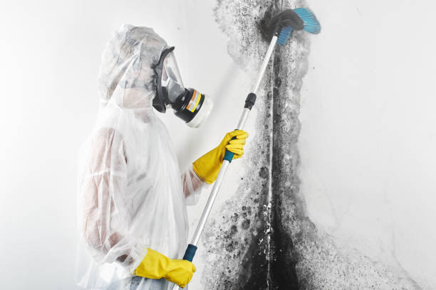 Best Forensic Mold Investigation  in Midfield, AL