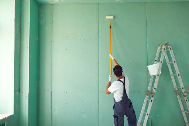 Best Black Mold Removal  in Midfield, AL