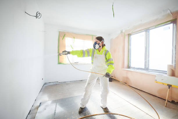 Reliable Midfield, AL Mold Removal Solutions